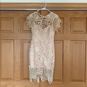 Light Pink Fitted Lace Dress